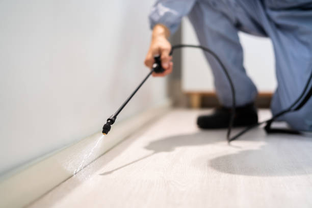 Licensed Exterminator service in Cobden, IL - Show Me Pest Control